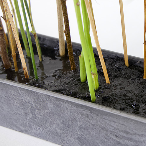 ブラックエコを使用した作品