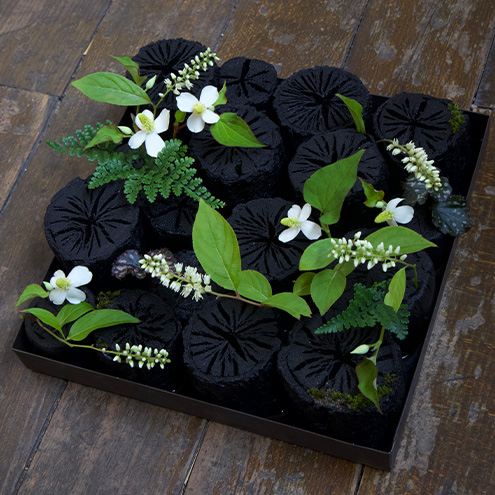 ブラックエコを使用した作品