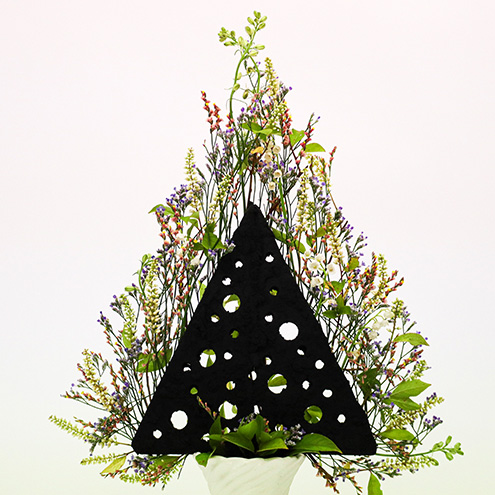 ブラックエコを使用した作品