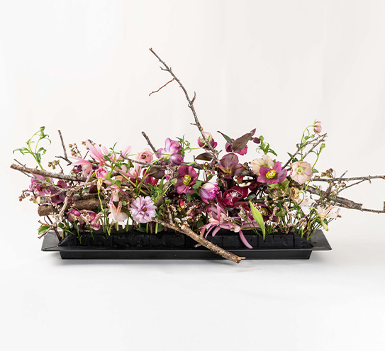 ブラックエコを使用した作品