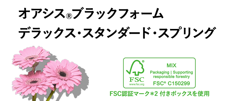 オアシスⓇブラックフォーム 
		デラックス・スタンダード・スプリング
		