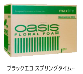 ブラックエコスプリングタイム