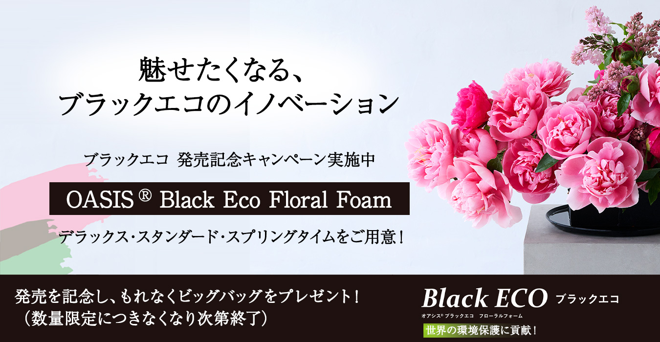 ブラックエコ Black Eco　6/16 (月）発売
      デラックス・スタンダード・スプリングタイム全てご用意！
      