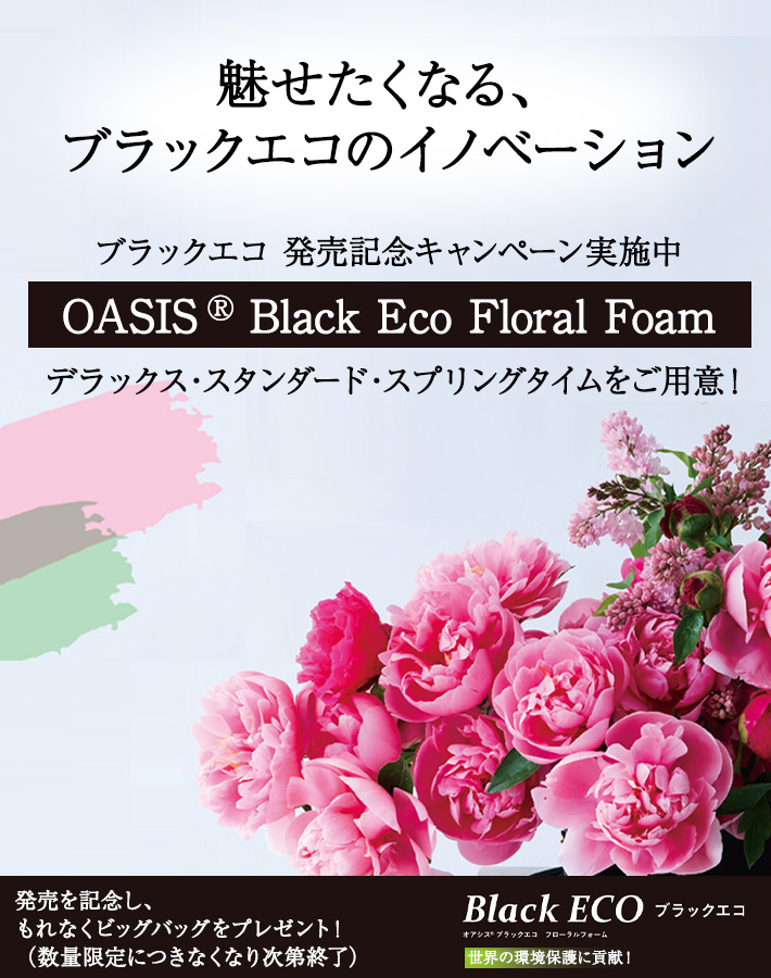 ブラックエコ Black Eco　6/16 (月）発売
      デラックス・スタンダード・スプリングタイム全てご用意！
      