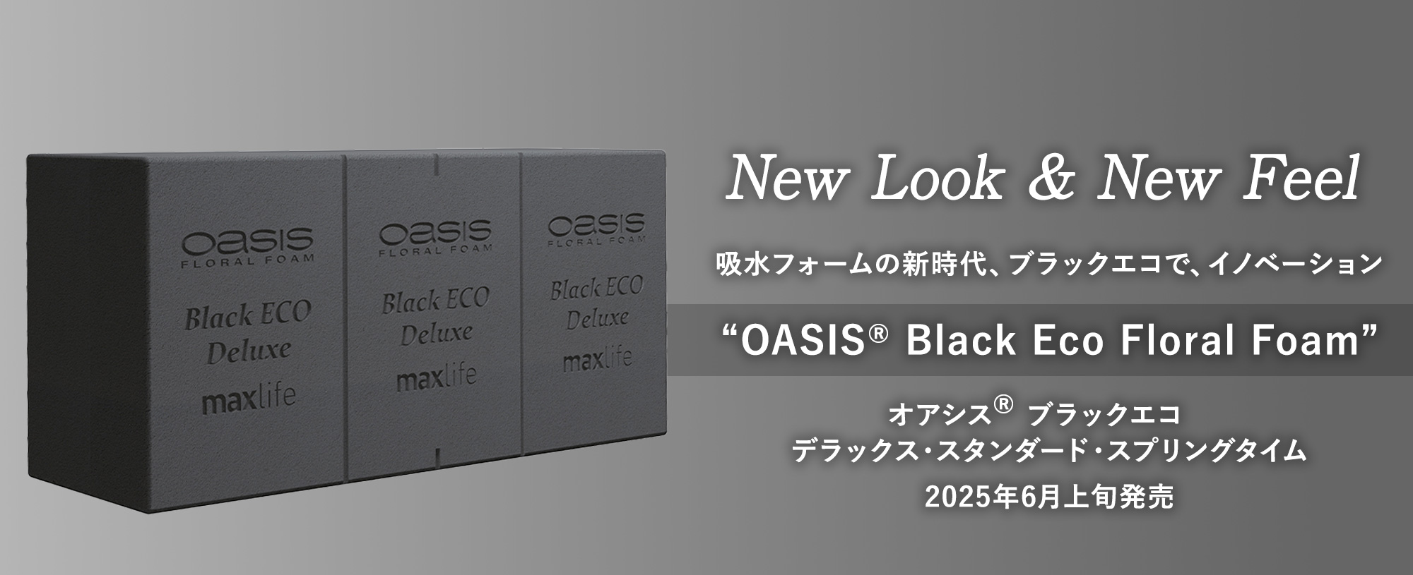 New Look & New Feel
				吸水フォームの新時代、グリーンからブラックへ！
“OASIS® Black Eco Floral Foam”
ブラックエコ　新登場！
