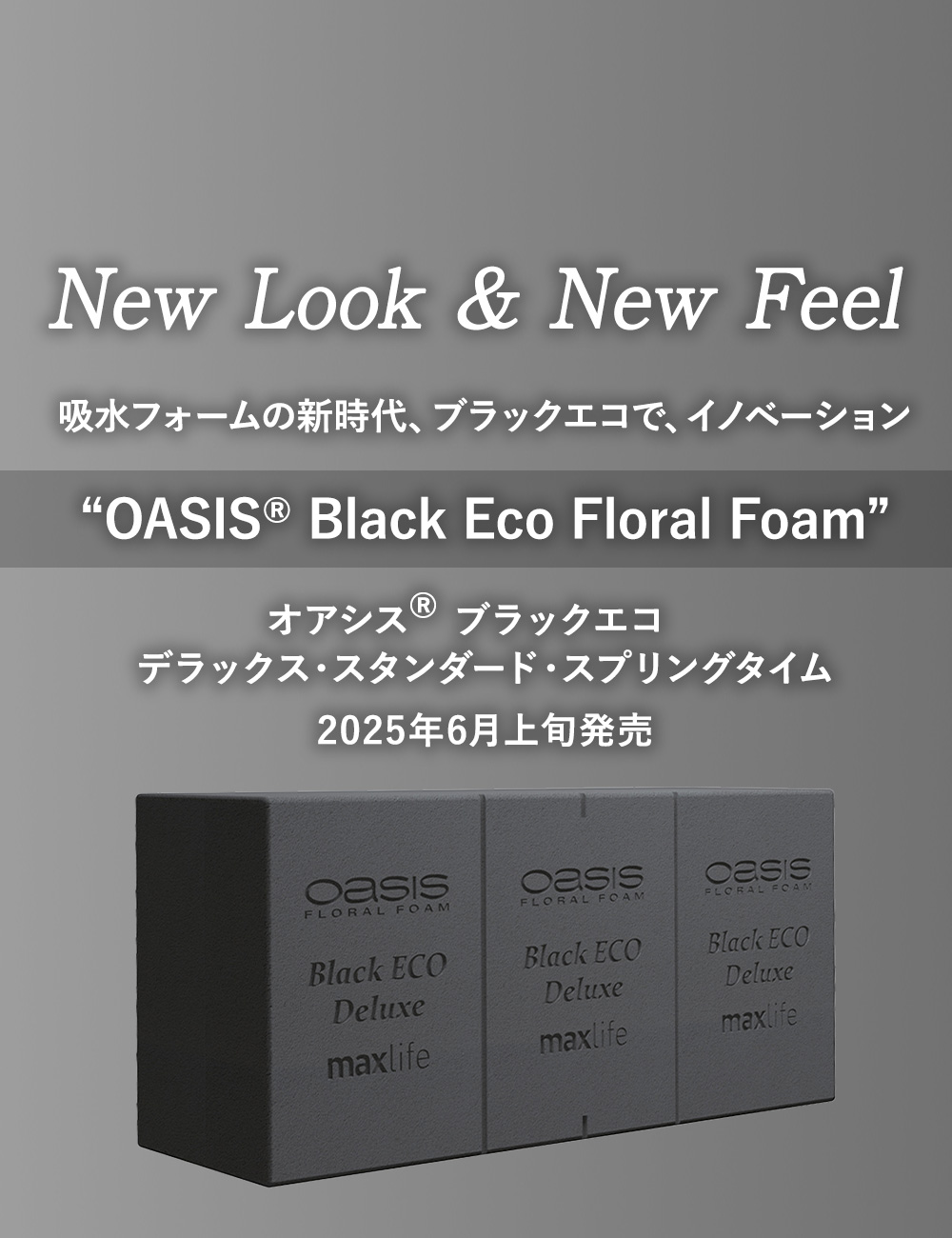 New Look & New Feel
				吸水フォームの新時代、グリーンからブラックへ！
“OASIS® Black Eco Floral Foam”
ブラックエコ　新登場！