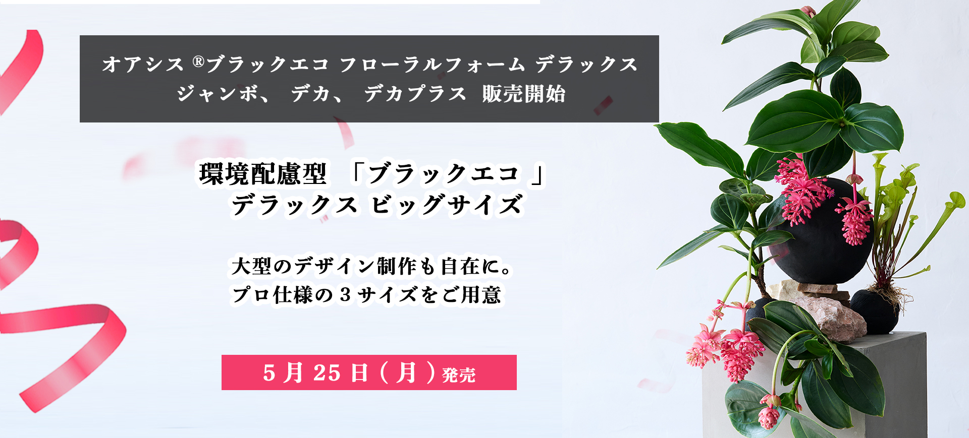 オアシス Ⓡブラックエコ フローラルフォーム デラックス
ジャンボ、デカ、デカプラス 販売開始