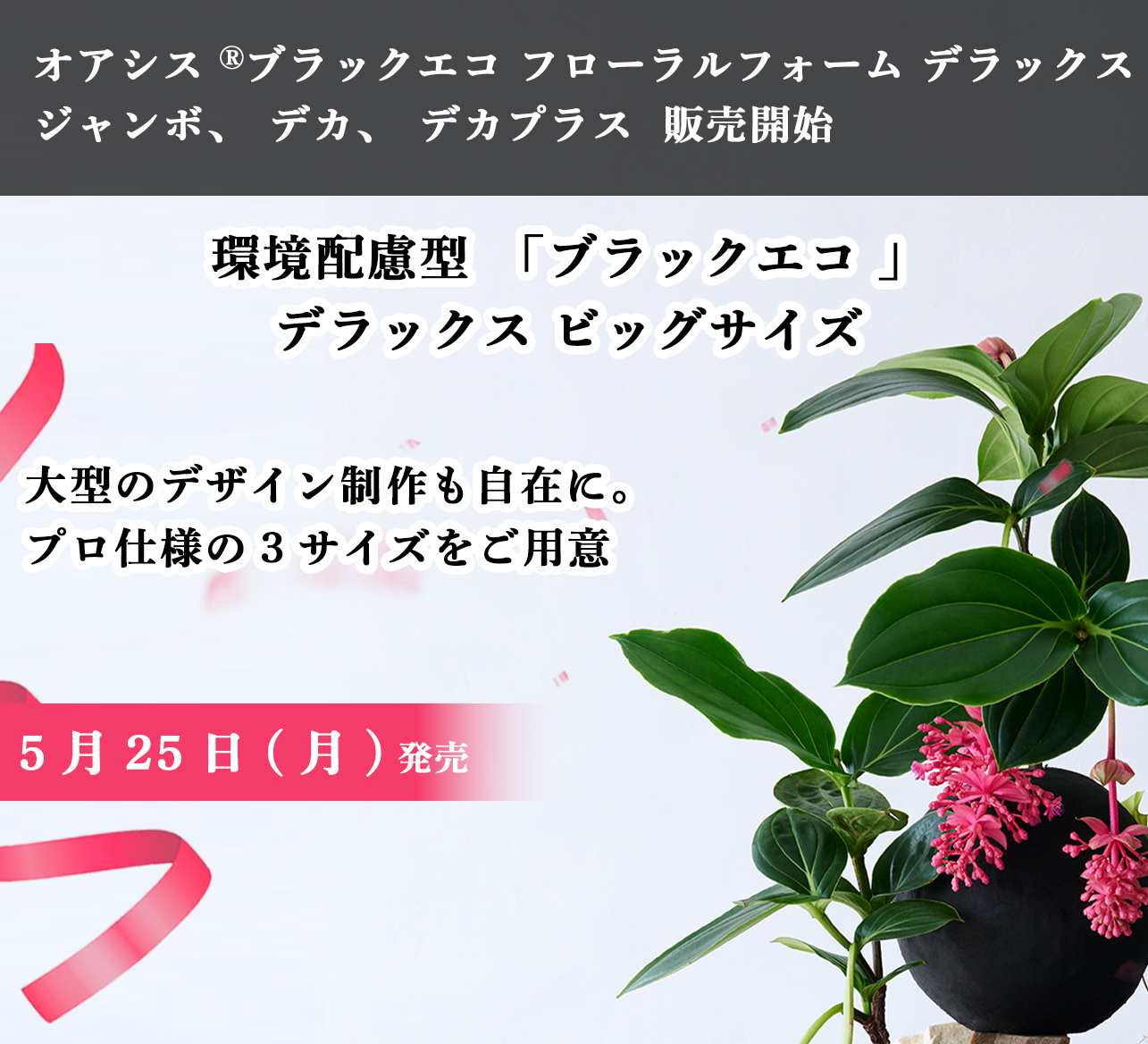 オアシス Ⓡブラックエコ フローラルフォーム デラックス
ジャンボ、デカ、デカプラス 販売開始