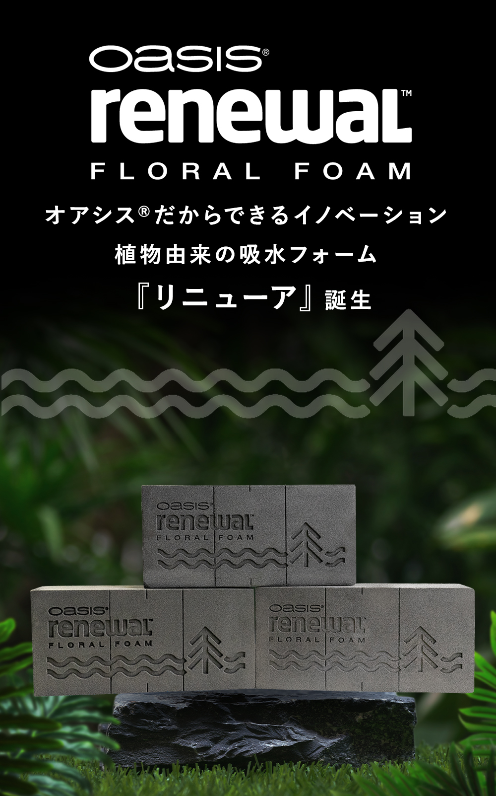 オアシスだからできるイノベーション植物由来の吸水フォーム『リニューア』誕生
