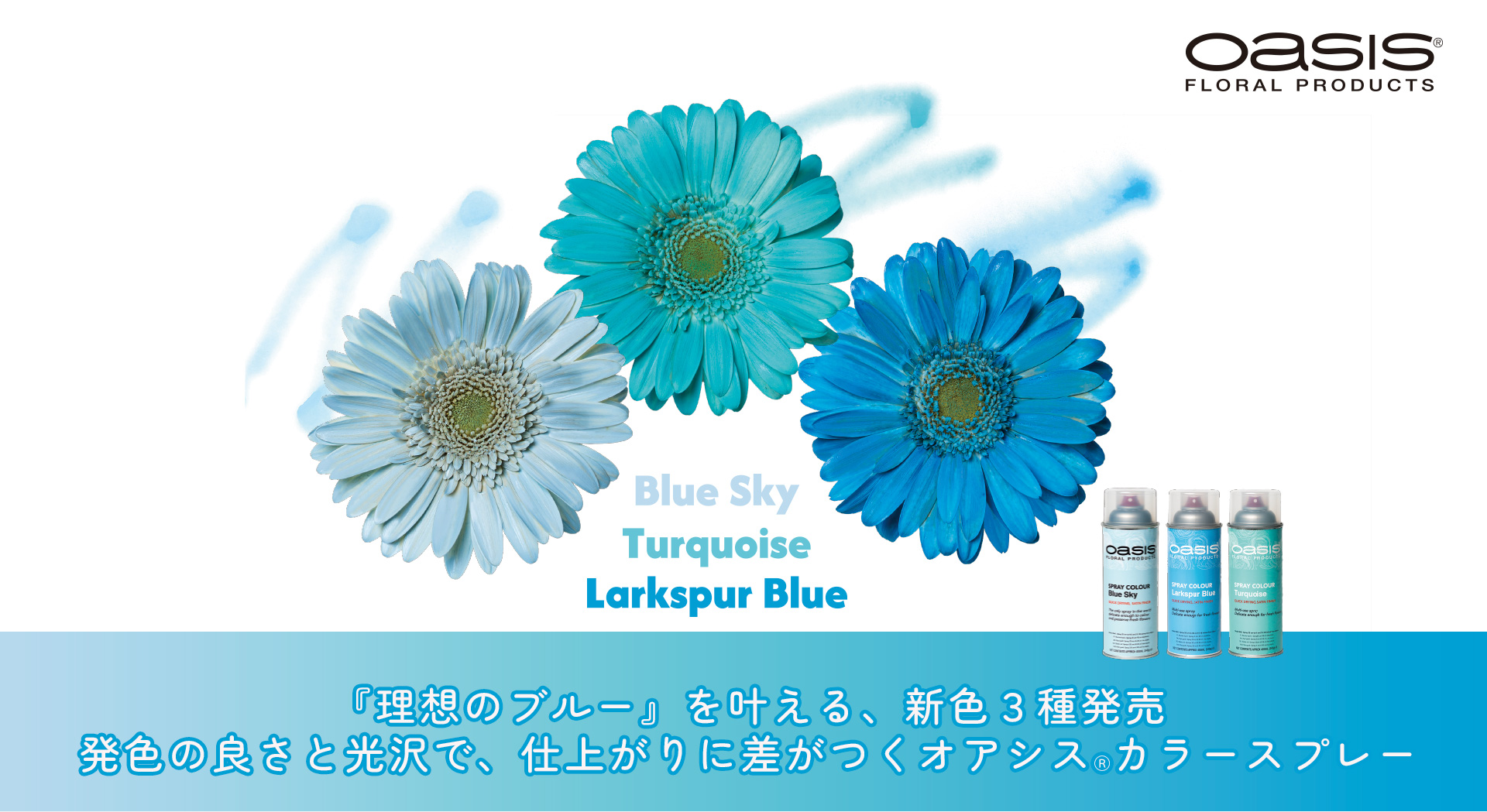 『理想のブルー』を叶える、新色３種発売オアシスⓇカラースプレー