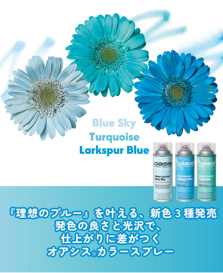 『理想のブルー』を叶える、新色３種発売オアシスⓇカラースプレー