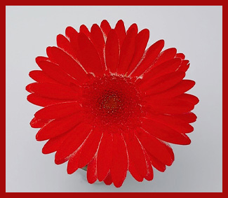 カラーツール | スミザーズオアシス ジャパン【公式】 ｜ オアシス